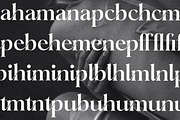 Mathilga Ligature Serif Typeface, a Serif Font by Storytype Studio (Thumbnail 5 of 15)