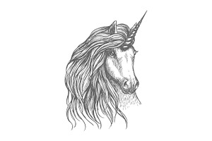 Unicorn Fantastic Horse Sketch For Tattoo Design