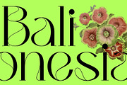 Bumerang - Display Serif, a Serif Font by Nirmana Visual (Thumbnail 9 of 15)