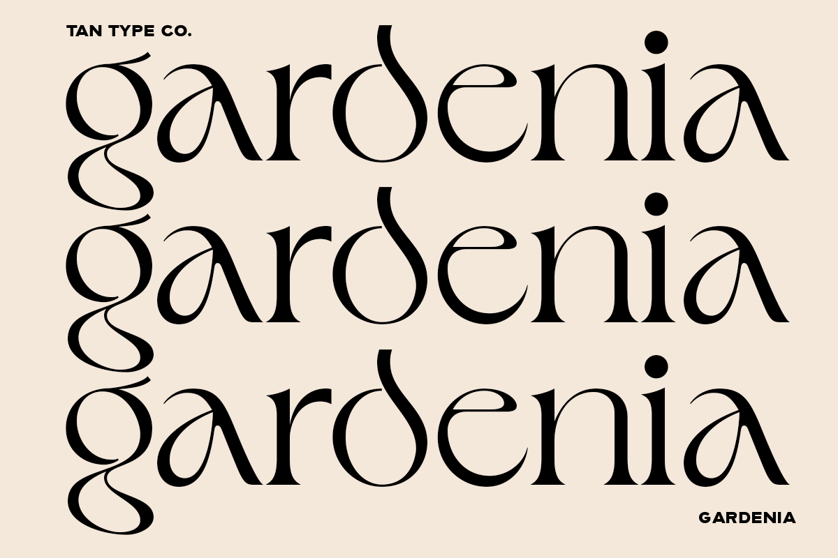 TAN - GARDENIA, a Font by TanType (Photo 14 of 21)