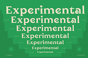 UT Qlared - A Flare Serif Font, a Serif Font by Universitype (Thumbnail 9 of 14)