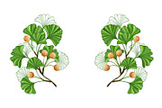 Frame of green ginkgo biloba branche, a Decorative Illustration by blackmoon9 (Thumbnail 1 of 3)