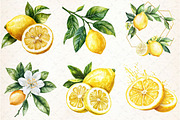 Watercolor Lemon Bundle Clipart, an Illustration by Libby Wishes (Thumbnail 2 of 5)