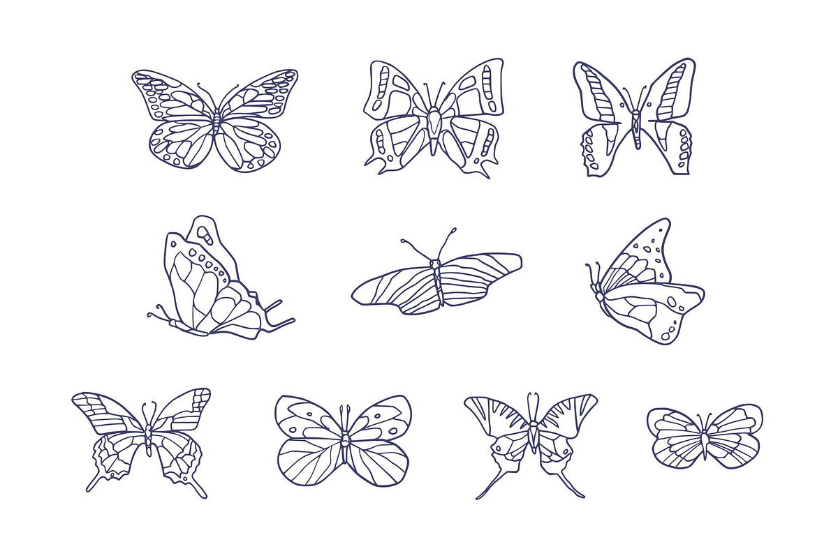 Breeds Butterfly Hand-Drawn Vol. 1, an Animal Illustration by SLAB! Design (Photo 2 of 3)