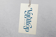 Halucka Bailey Groovy Serif Font, a Serif Font by timelesstype.co (Thumbnail 2 of 20)