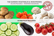 Garden Vegetables & Mushrooms -PNG, a Food Illustration by Nurlan's shop (Thumbnail 2 of 11)