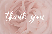 Mellonikha Brush Script Font, a Script Font by NTC Graphic (Thumbnail 9 of 9)