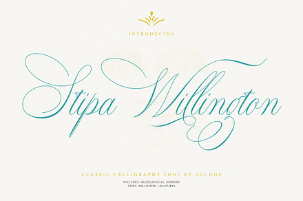 Stipa Willington, a Script Font by Alcode