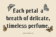 CS Artemio Drawn, a Blackletter Font by Craft Supply Co. (Thumbnail 7 of 8)