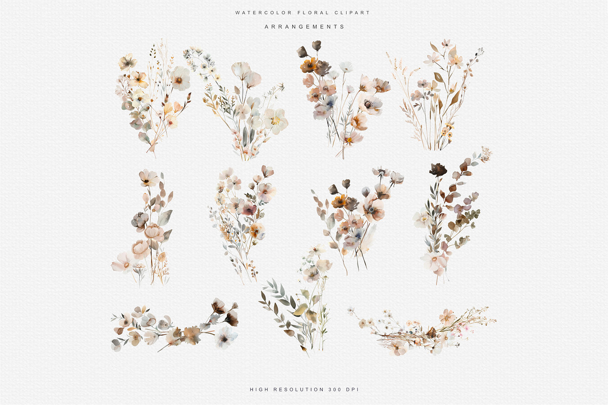 watercolor beige wildflower clipart, a Decorative Illustration by Patishop Art (Photo 7 of 10)