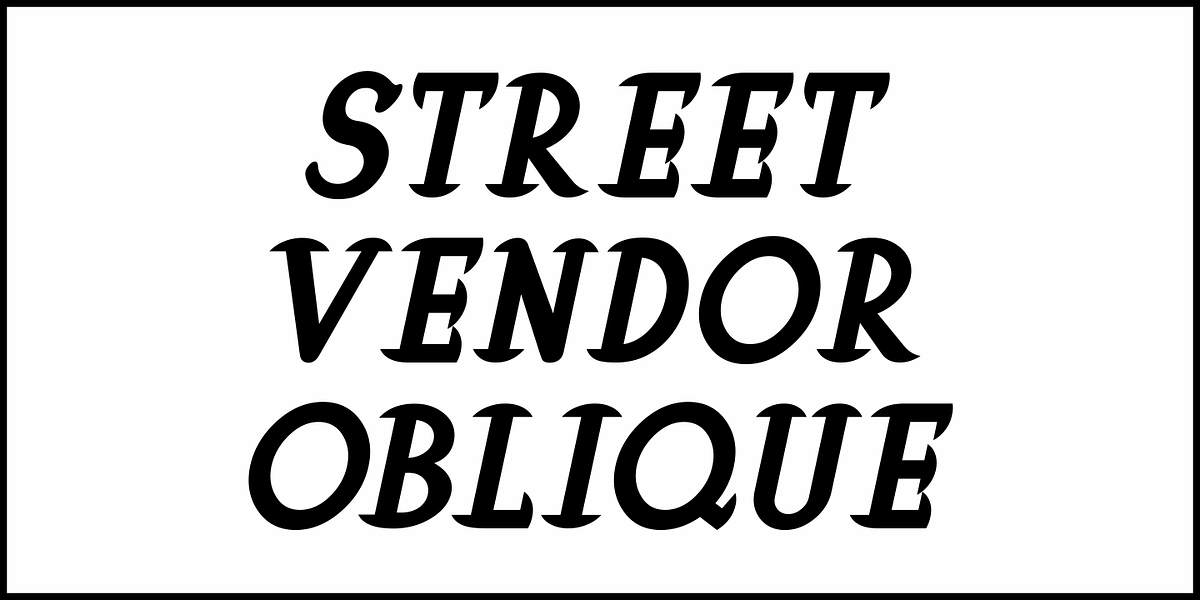 Street Vendor JNL, a Serif Font by Jeff Levine Fonts (Photo 4 of 5)