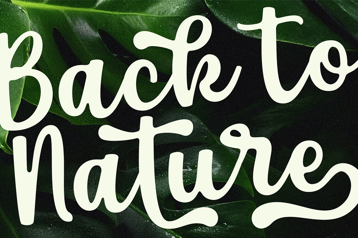 Carvile - Rounded Calligraphy Font, a Script Font by HRDR (Photo 7 of 10)