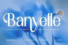 Banyelle Modern Elegant Sans Font