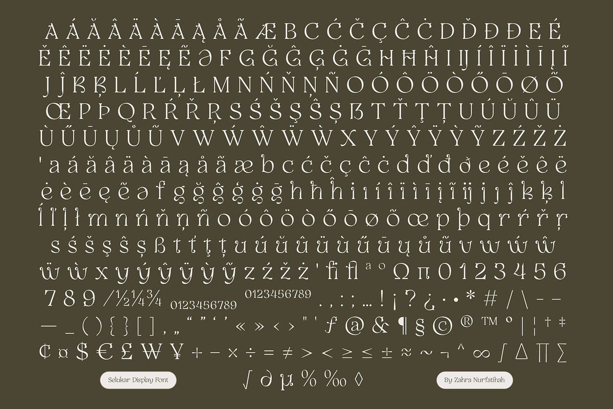 Selukar - Vintage Display Serif Font, a Serif Font by Artflorara (Photo 14 of 15)