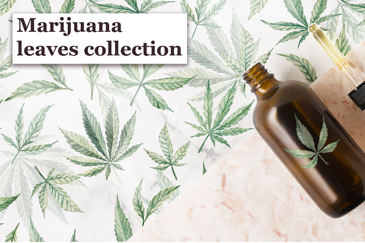 Marijuana leaves, an Object Graphic by Dashamoony (Photo 1 of 3)