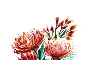 Watercolor Fynbos Flowers, a Decorative Illustration by Karliefie (Thumbnail 5 of 7)