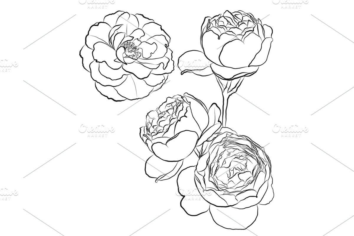 Outlined Flowers, an Object Graphic by VictoriaKStudio (Photo 3 of 4)