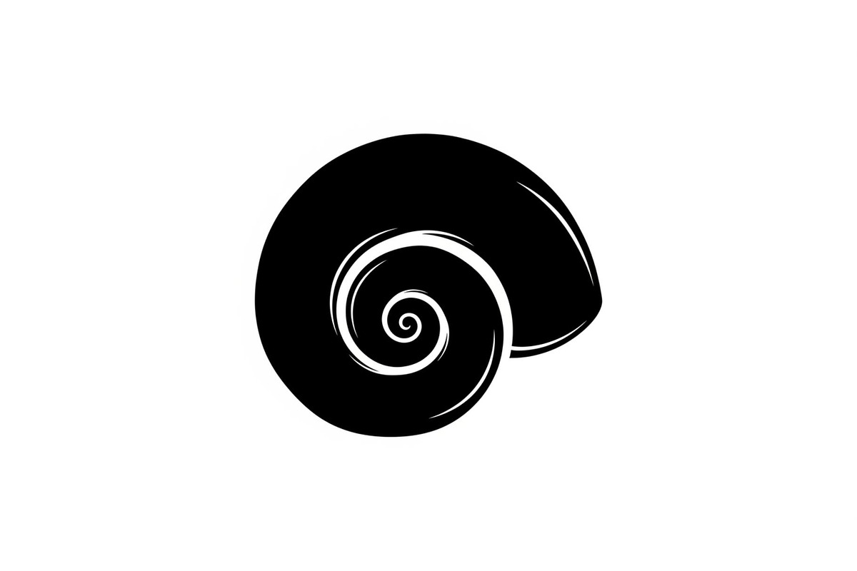 Spiral Seashell SVG Bundle, an Illustration by Gaye Art (Photo 22 of 31)