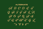 Blagkine - Bold Script, a Script Font by ErgibiStudio (Thumbnail 11 of 11)