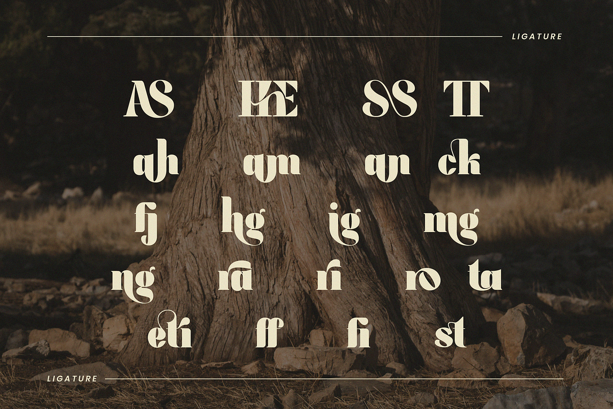 Lasthen - Serif Font, a Serif Font by Randi Irvan | Rvandtype (Photo 11 of 12)