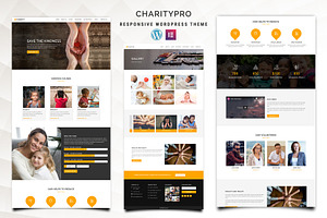 Charitypro Charity WordPress Theme