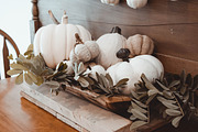 Fall Stock Photo Bundle Pumpkins, a Holiday Photo by Hudson Farmhouse (Thumbnail 3 of 5)