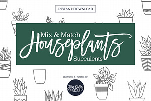 Hand Drawn Succulent Illustrations