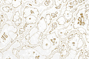 Marble textures 8000 x 8000 px, a Texture Graphic by tkdesign (Thumbnail 7 of 21)