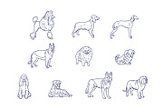 Breeds Dog Handdrawn Vol 2, an Animal Illustration by SLAB! Design (Thumbnail 3 of 3)