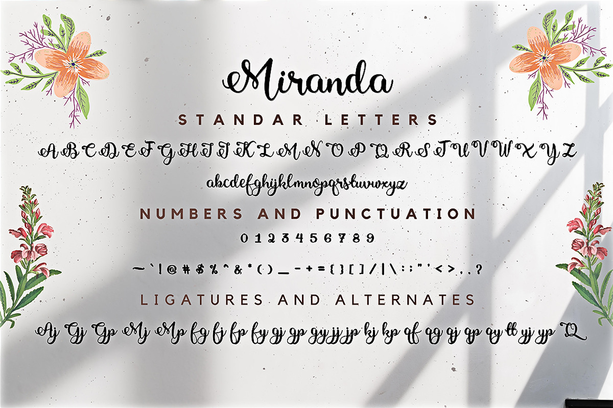 Miranda Font Modern Script, a Script Font by Ahmad Pkp Studio (Photo 8 of 9)