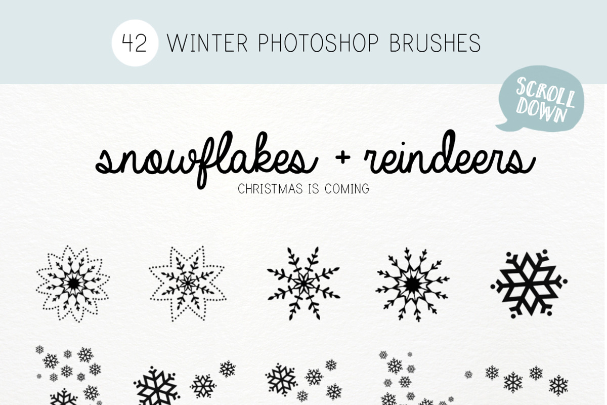 Winter Wonderland photoshop brushes, a Brush Add-On by Studio-Charlie (Photo 2 of 4)
