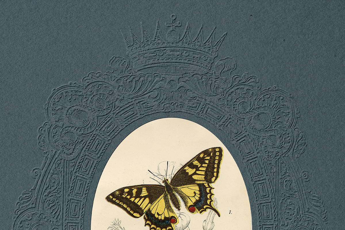 Vintage Embossed Paper Frames Vol 1, a Decorative Illustration by ...
