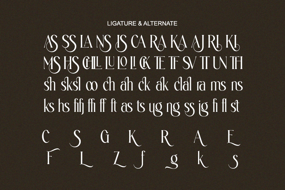 Ajessira – Modern Elegant Ligature, a Serif Font by Qweera Studio (Photo 10 of 12)