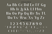 Kapecha - Modern Ligature Serif Font, a Sans Serif Font by PutraCetol Studio (Thumbnail 7 of 11)
