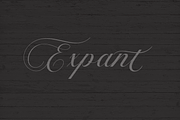 Violeta, a Script Font by GRAPHICPRESS (Thumbnail 7 of 7)