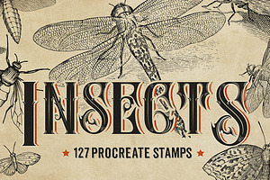 127 Procreate Insects stamps brushes