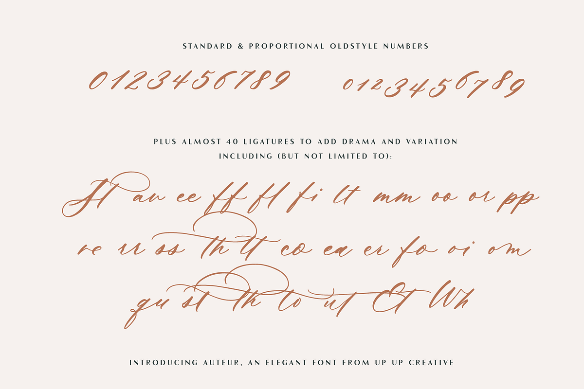 Auteur Calligraphy Script Font, a Script Font by Up Up Creative (Photo 8 of 16)