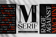 Family Luxury Serif Font - Quinela, a Serif Font by Say Studio (Thumbnail 5 of 12)