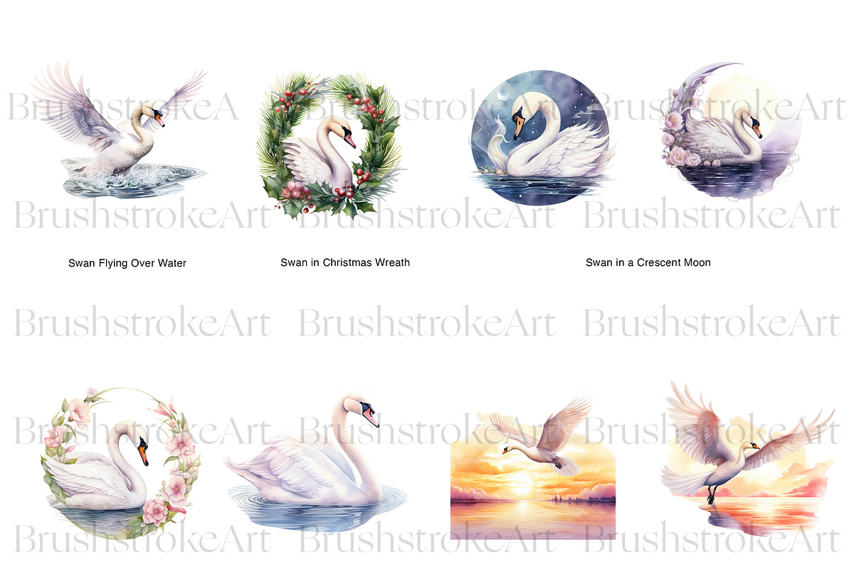 Watercolor Swan Clipart, White Swans, an Animal Illustration by BrushstrokeArtGB (Photo 2 of 9)