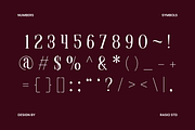 Marqen Modern Luxury Serif Font, a Serif Font by Rasio Studio (Thumbnail 3 of 9)