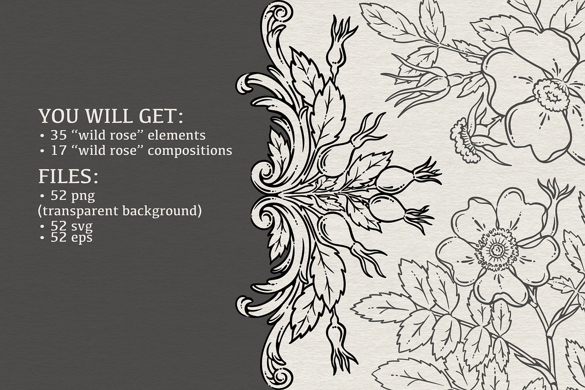 WILD ROSE lineart collection, a Decorative Illustration by heyXeni (Photo 2 of 7)