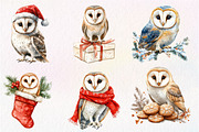 Christmas Barn Owl Clipart, an Illustration by Dream Creation (Thumbnail 6 of 6)