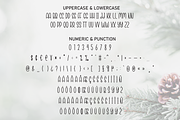 Natural Christmas | Script Font, a Script Font by Scratchones (Thumbnail 7 of 8)