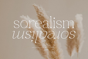 Sorealism Serif Font