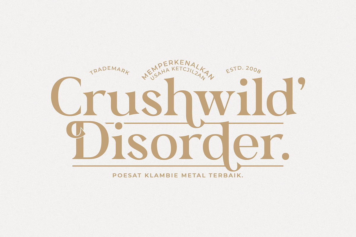 Bagator - Classic Serif Font, a Serif Font by StringLabs (Photo 8 of 12)
