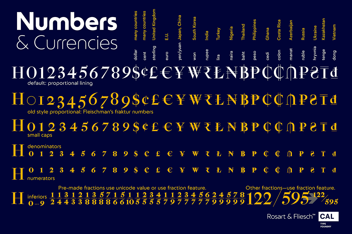 Rosart & Fleisch PRO+Wld1 2FontPack, a Serif Font by California Type Foundry (Photo 7 of 8)