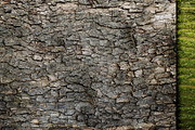 20 Tree Bark Texture, a Texture Graphic by CCPreset (Thumbnail 3 of 3)