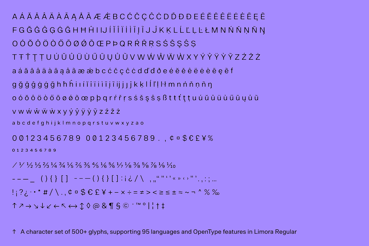 Limora, a Sans Serif Font by Nameless Type Foundry (Photo 4 of 10)