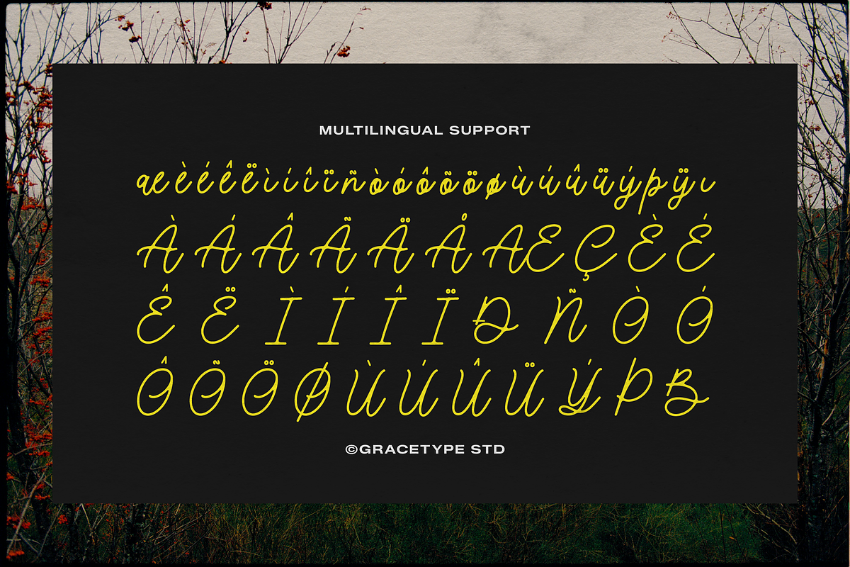 Morlintado | Monoline Script, a Script Font by gracetype_studio (Photo 11 of 12)