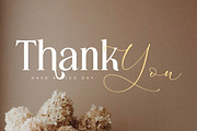 Kingdom Estella Font Duo, a Serif Font by Storytype Studio (Thumbnail 15 of 15)